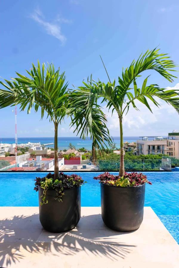 Stayon5A.Av.Penthouse With Privatepool Freeparking Playa del Carmen Eksteriør bilde